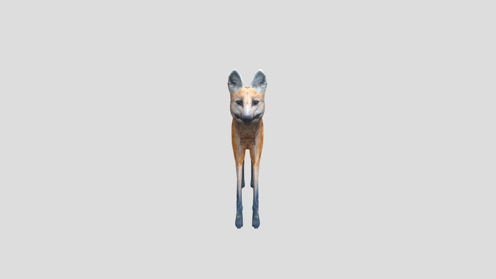 Maned Wolf 3D Model