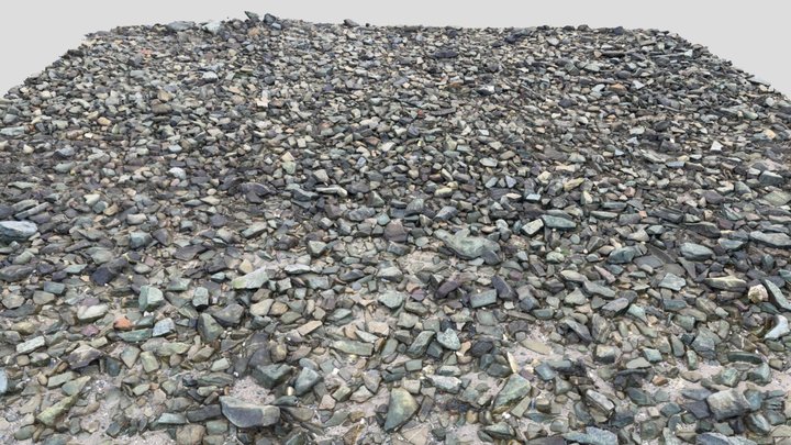 Estuary Bank 3D Model