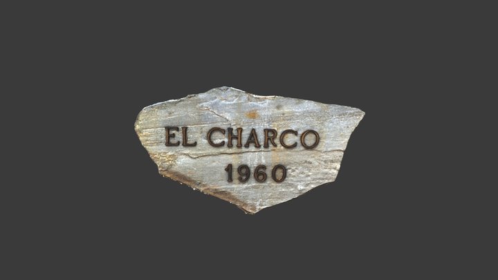 Placa Charco 3D Model