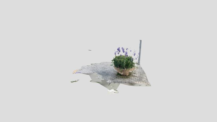 Scan 2022-04-12T16:29:42.915Z 3D Model