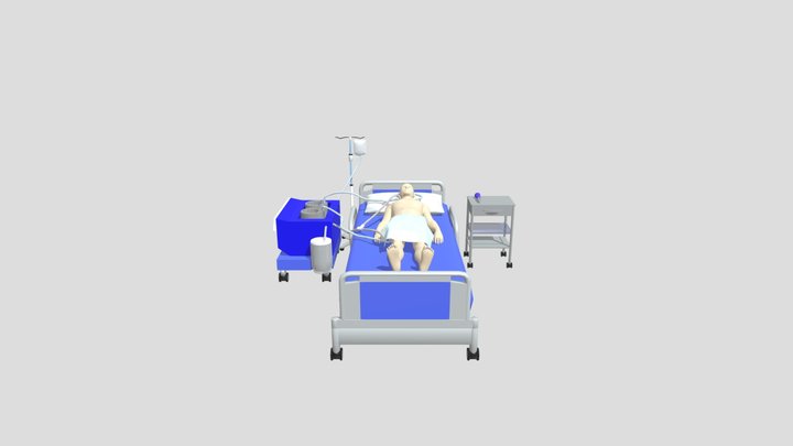 Perfusion 3D Model