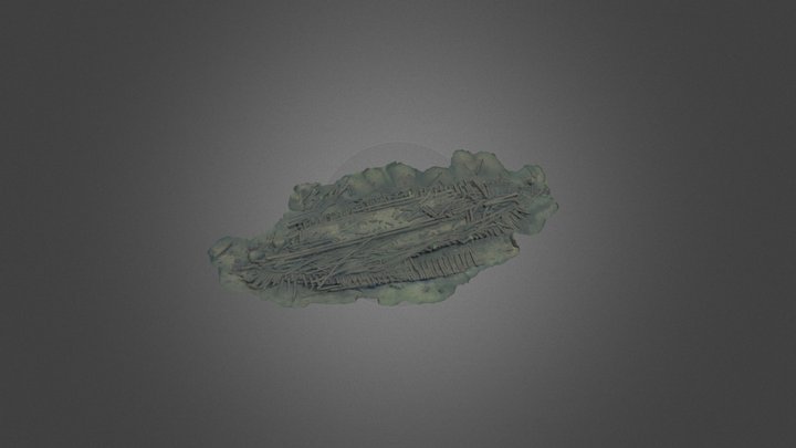 Wreck of Haapasaari 3D Model