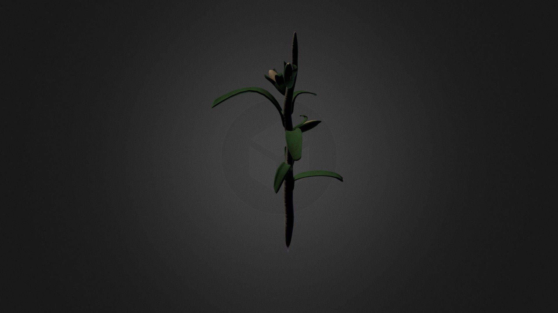 Crop Corn