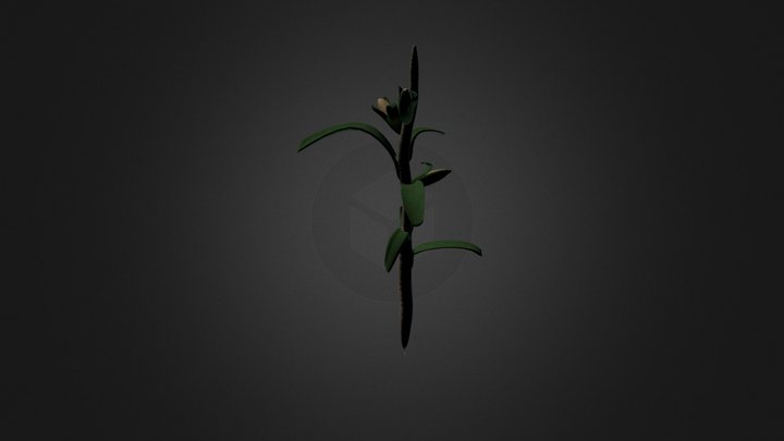 Crop Corn – Modello 3D gratuito STL