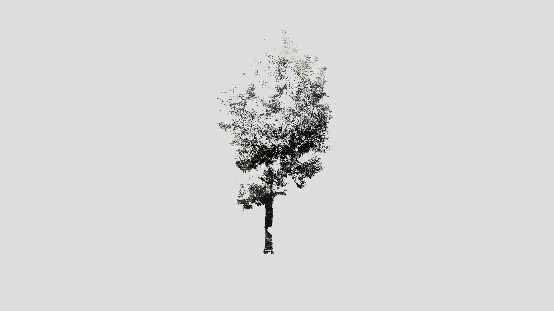 Tree2-pointcloud - 3d Model By Nodai Kunii Lab (@mmsroadsidetree 