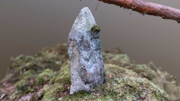 Old Rune Stone, in forest in Varmland, Sweden 3D Model