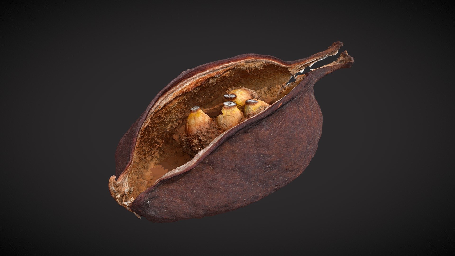 Wood pod