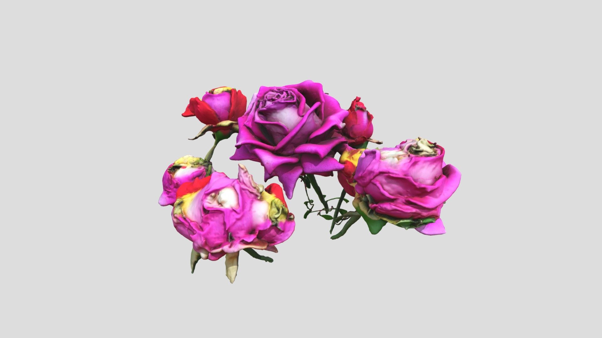 Rose Elegance - 3D model by vravalinawijayaningtyas [3cf1386] - Sketchfab