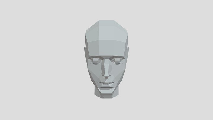 人头结构 3D Model