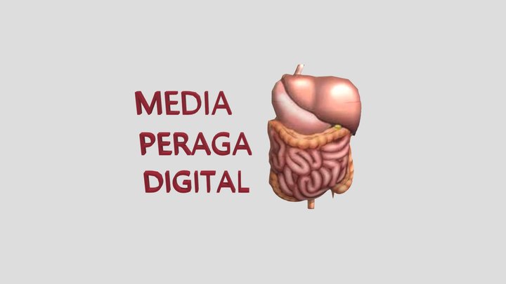 Organ Latihan 2 3D Model