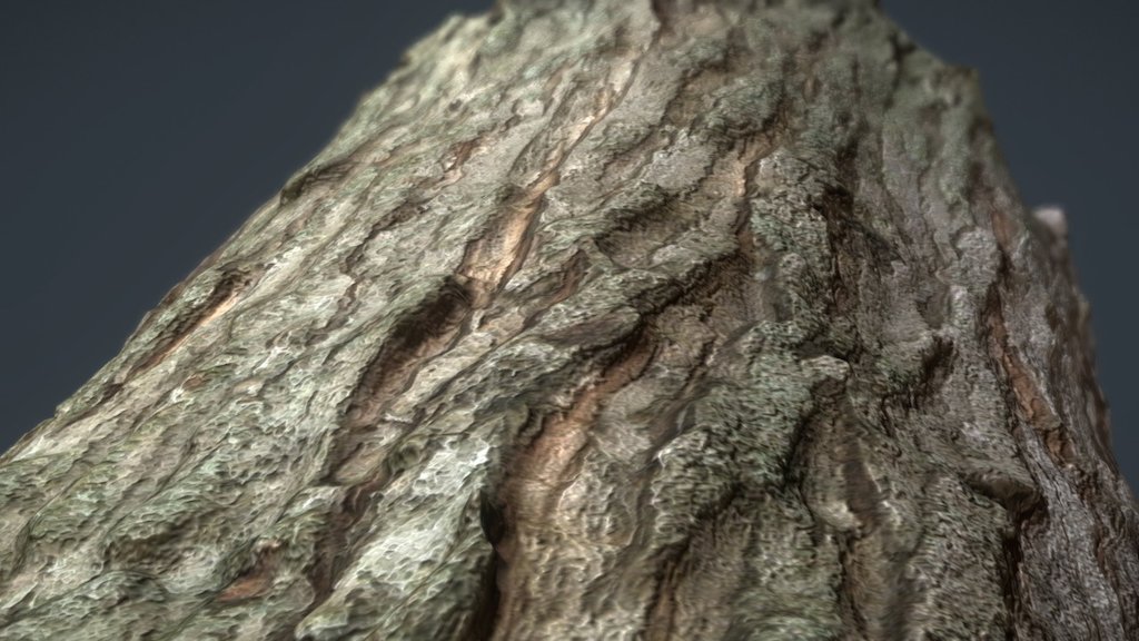 Tree Scan Test + Materials