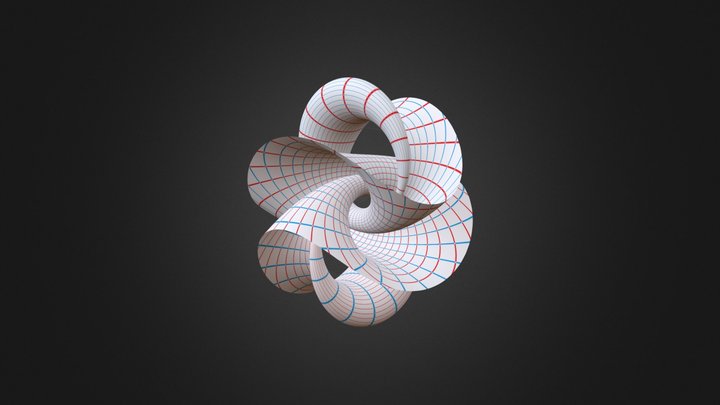 Diagonal on a 3-sphere 3D Model