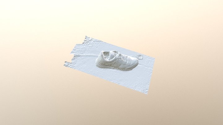 Shoe Zip 3D Model