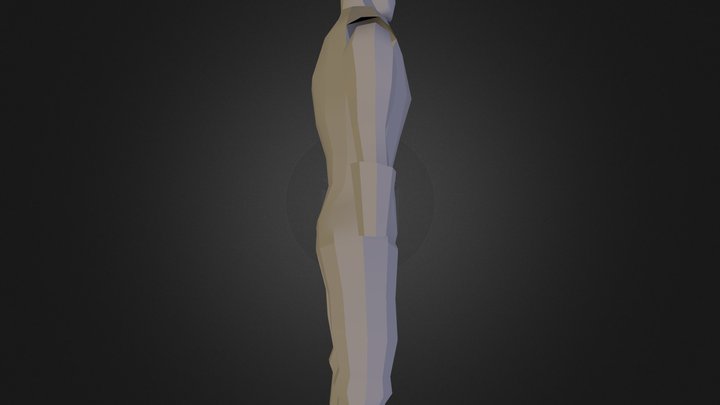 Head And Body Mesh 3D Model