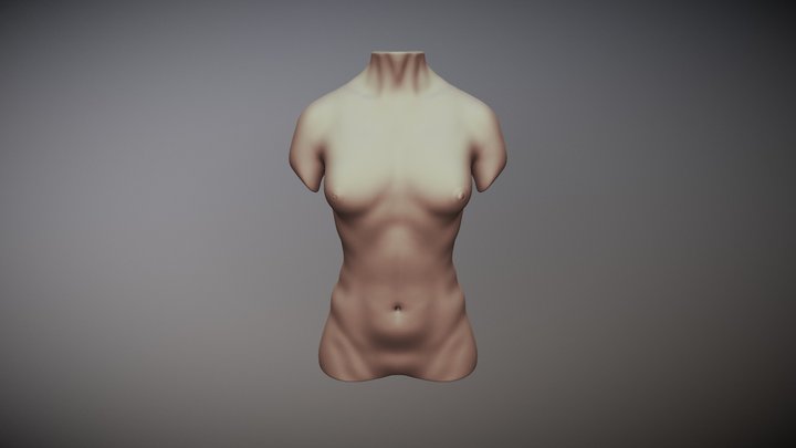 Torso female day 29 #sculptjanuary18 3D Model
