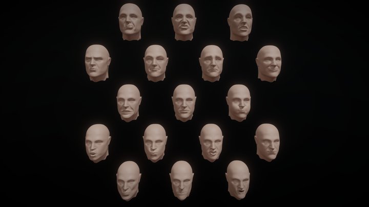 Facial Expressions Study 3D Model
