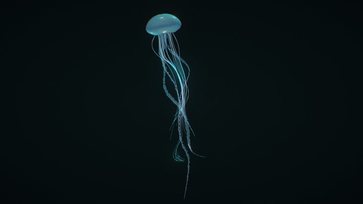 Prins Jellyfish 3D Model