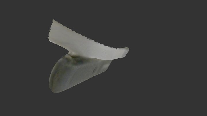 Remote201 3D Model