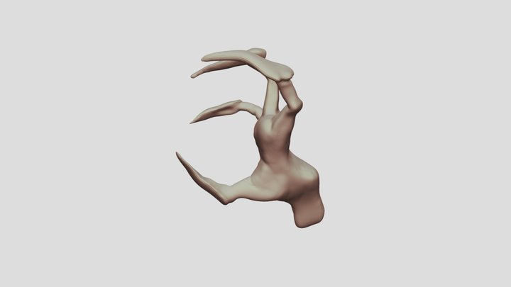 Hand 3D Model