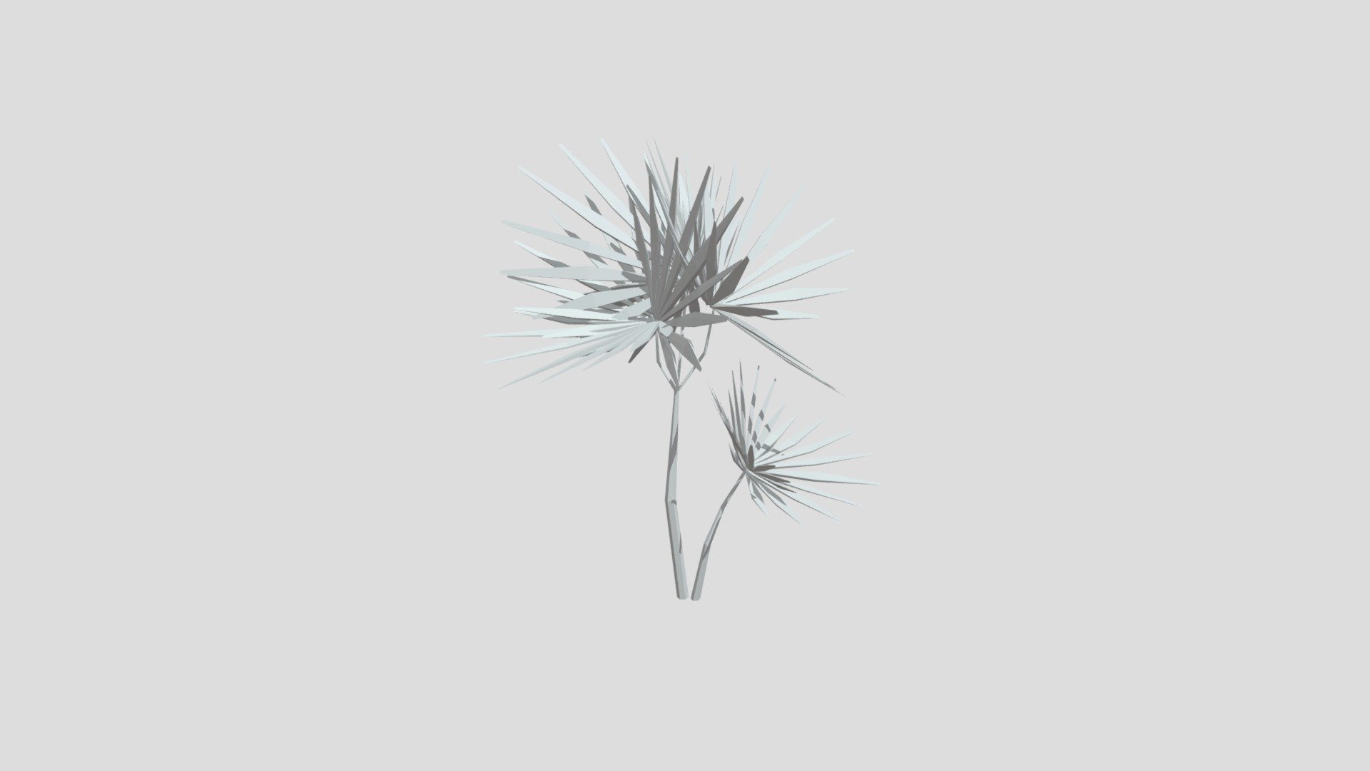 Lady palm tree from Poly by Google