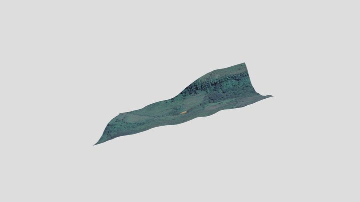 Cueva Hoyo de la Coy - Santana, Boyacá 3D Model