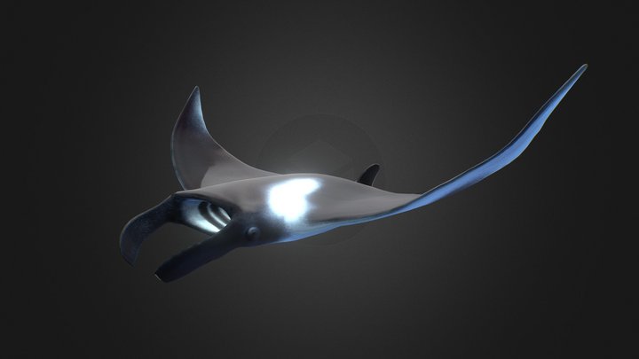 Manta(2021) 3D Model