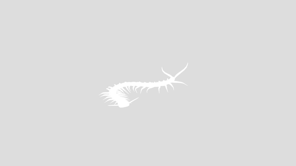 Centipede