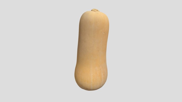 Squash 3D Model