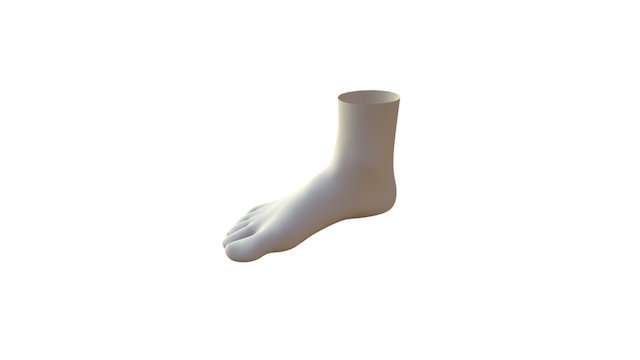 Body Labs Sample Foot Model 3D Model