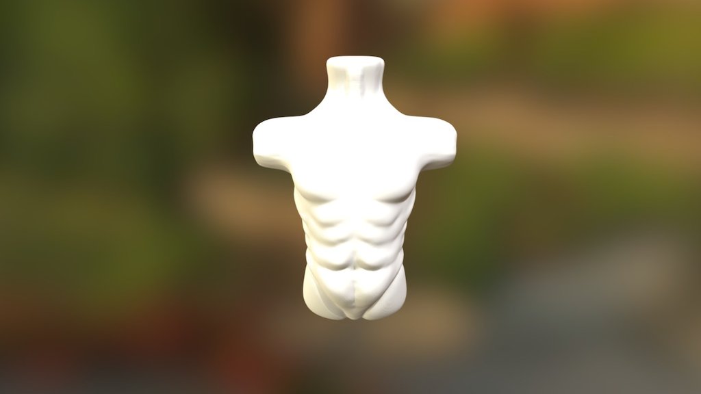 anatomy study