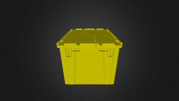Yellow-Tote 3D Model