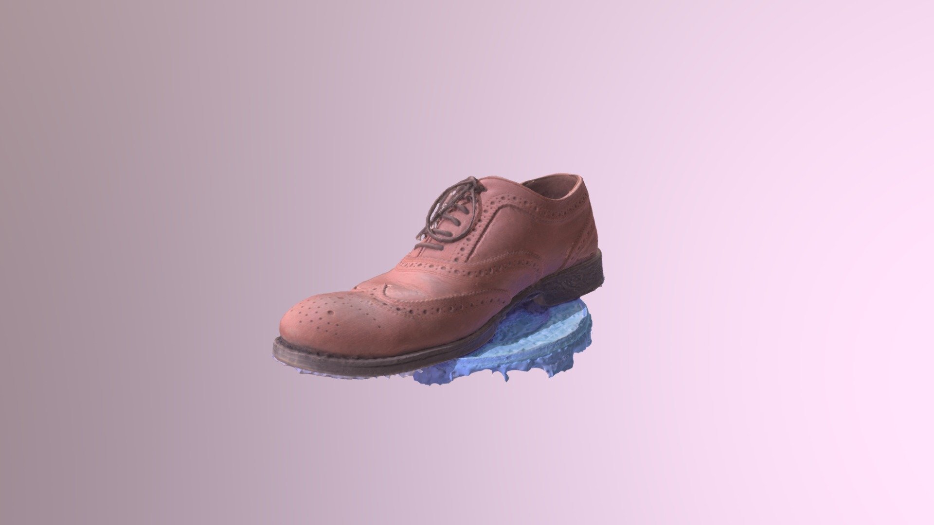 shoe 2