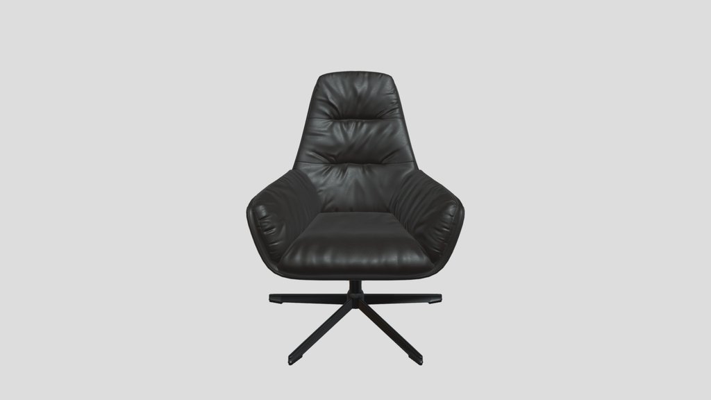 Leather Armchair
