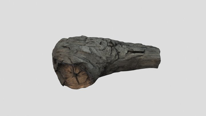 WD6023 SF3989 Must Farm Wooden Axe Haft