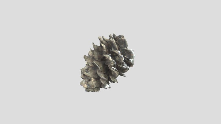 pinecone – Free 3D Model STL