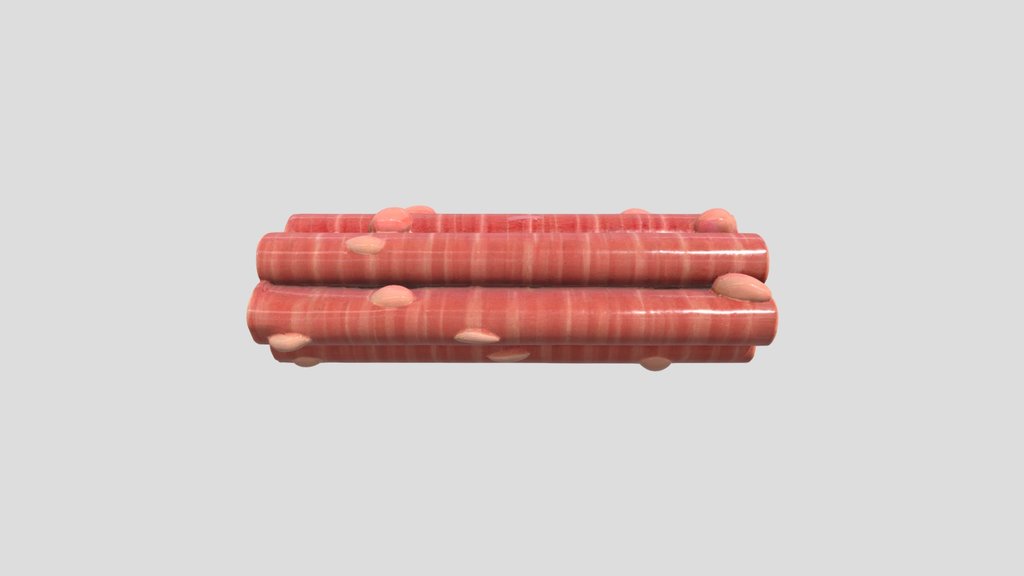 Striated Muscle