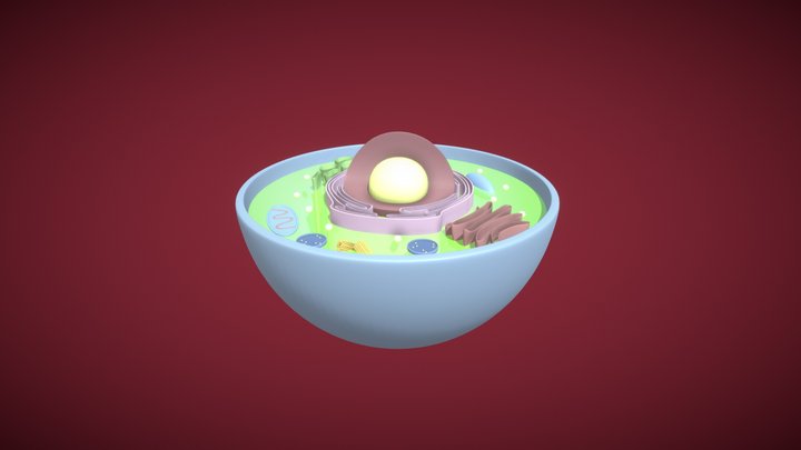 Célula Animal 3D Model
