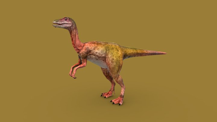 Pelecanimimus 3D Model
