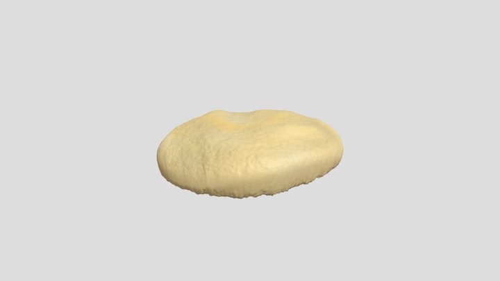 Digitalcookie 3D Model