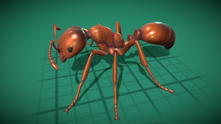 Red imported fire ant - with animation 3D Model