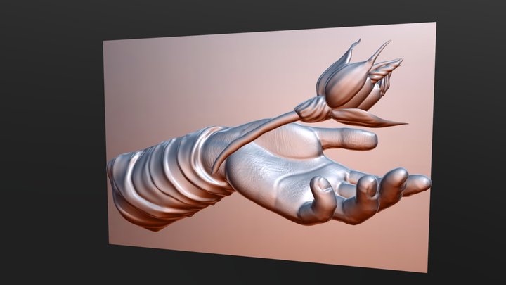Hand 3D Model