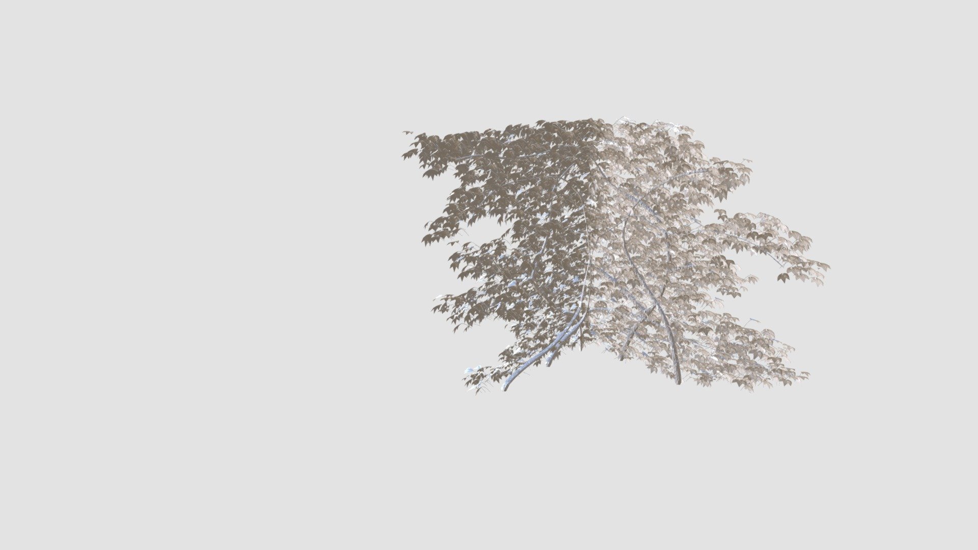 Plant — Sketchfab embed 3D viewer