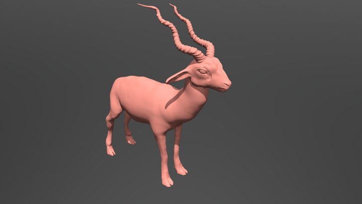 Blackbuck Antelope 3D Model