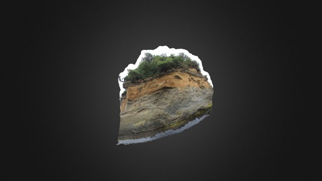Submarine landslide-New Zealand 3D Model