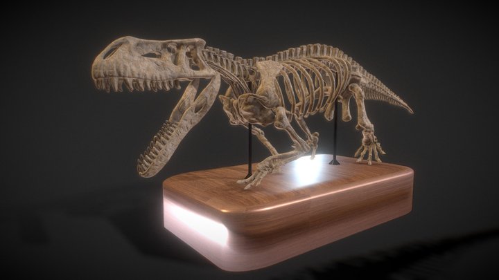 Dinosaur Fossil Skeletons (high-poly & low-poly)