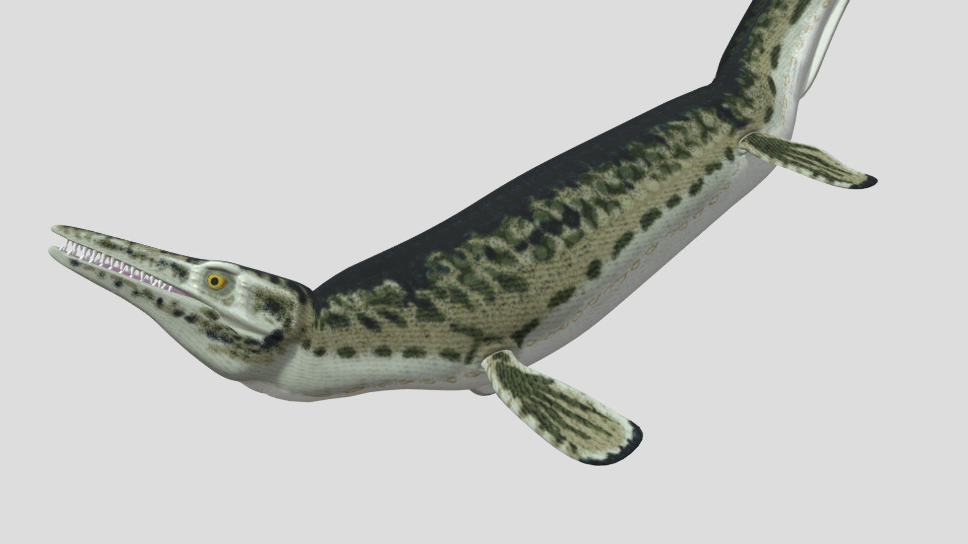 mosasaurus - Download Free 3D model by seth the yutyrannus ...
