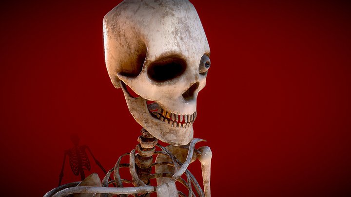 roger the skeleton 3D Model