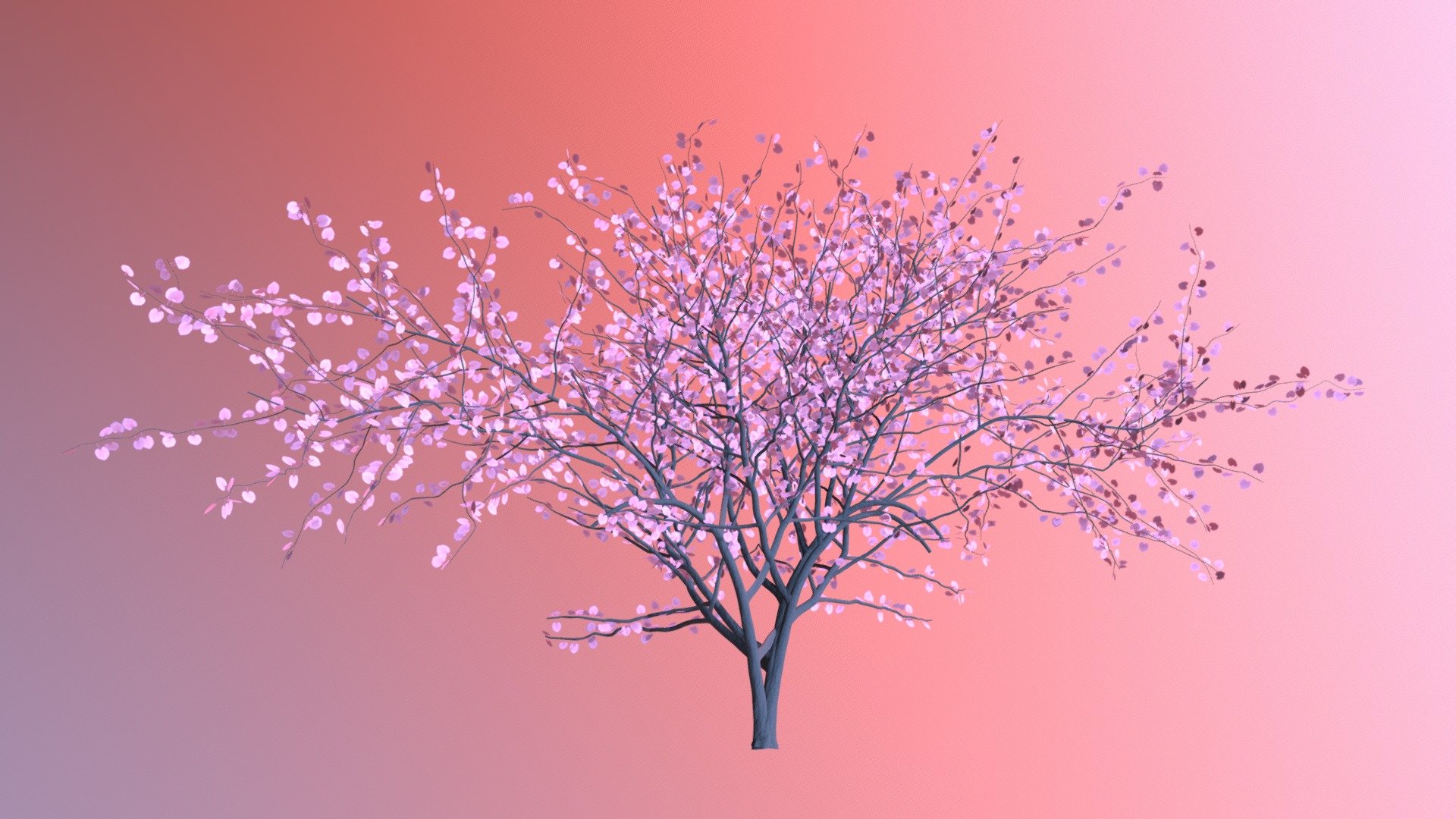 Cherry Blossom - 3D model by matthewrwatt [3d27e6f] - Sketchfab