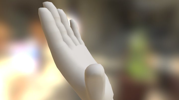 Hand 3D Model