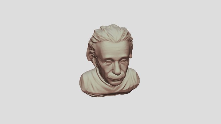 Einstein 3D Model